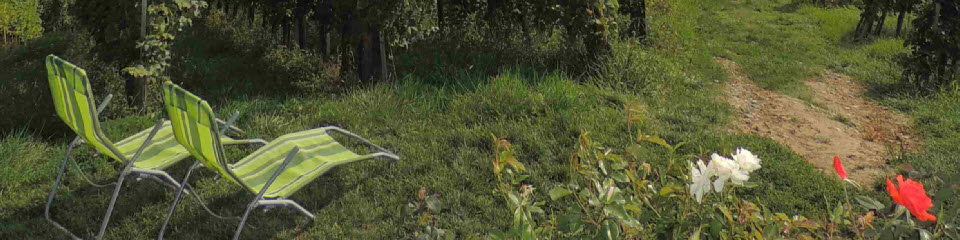 A peaceful spot to rest in the vineyards, South Styria, Austria